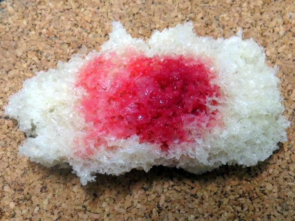 Pane rosso raffermo contaminato da S. marcescens Pane rosso raffermo contaminato da S. marcescens