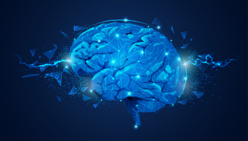 Cervello: esiste davvero un picco cognitivo? Cervello: esiste davvero un picco cognitivo?